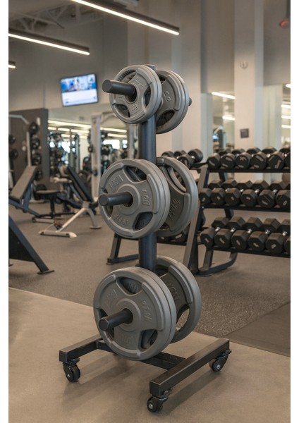 Olimpik Ağırlık Plaka Ağacı, Ağırlık - Plaka Depolama Rafı Fs Grup