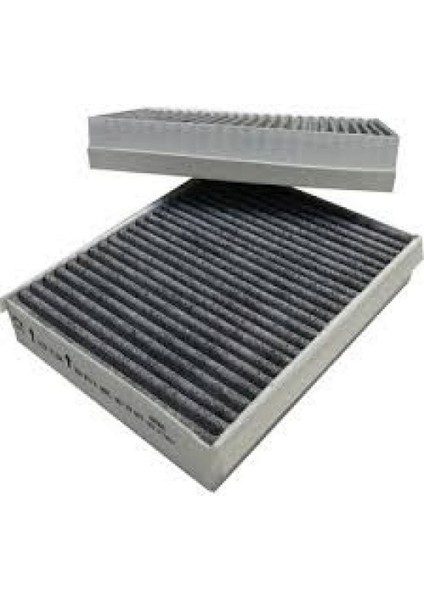 Mtxdpn Polen Filtresi (Alfa 147, 156, Gt, Crosswagon (Karbonlu) (Set))