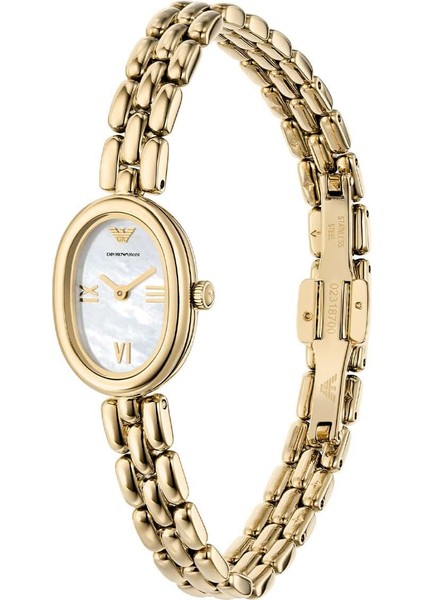 AR11721 Kadın Kol Saati fırsatları