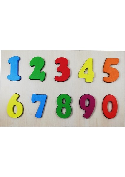 Ahşap Montessori Kavram Oyuncakları Rehabilitasyon Materyalleri Seti 9’Lu Set modelleri