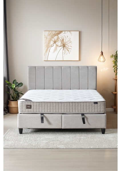 Manolya Çift Kişilik Full Ortopedik Antibakteriyel Yatak + Sandıklı Baza + Başlık 3 lü Set