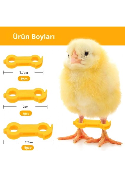 12 Adet Civciv Ayak Düzenleyici Aparat | Yeni Doğan Civcivlerde Ayrık Ayak Düzeltici, Kümes Hayvanı Yürüme Denge Aparatı