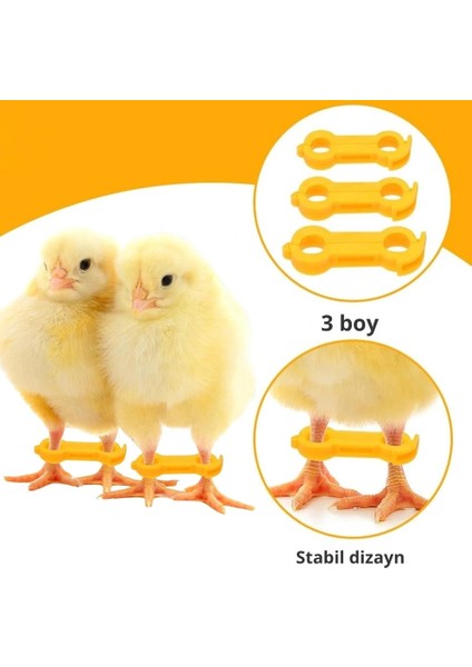 12 Adet Civciv Ayak Düzenleyici Aparat | Yeni Doğan Civcivlerde Ayrık Ayak Düzeltici, Kümes Hayvanı Yürüme Denge Aparatı fiyatları
