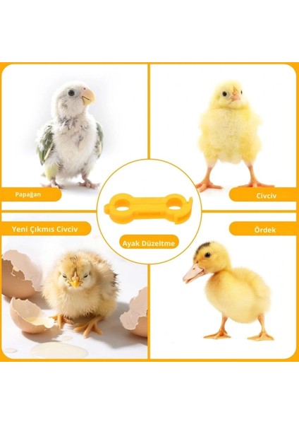 12 Adet Civciv Ayak Düzenleyici Aparat | Yeni Doğan Civcivlerde Ayrık Ayak Düzeltici, Kümes Hayvanı Yürüme Denge Aparatı modelleri