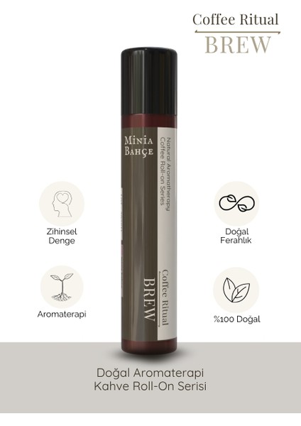 Brew – Focus & Drive Blend | %100 Doğal Aromaterapi Roll-On, 10 ml