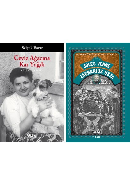 Ceviz Ağacına Kar Yağdı – Bütün Öyküleri + Zacharius Usta