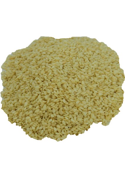 Susam Beyaz 100 gr Paket
