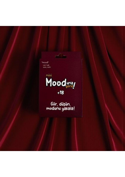 Moduna Göre Cep Boy Fotoğraflı Kart Oyunu +18