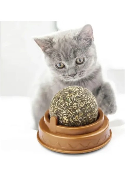 Kedi Nanesi Oyun Topu fırsatları