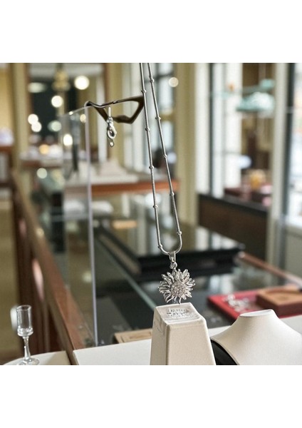 316L Paslanmaz Çelik Kadın Kolye Gümüş Renk Dönebilen Güneş Tasarımlı Taşlı Şık ve Zarif Çelik Kolye Çelik Kolye 316L Çelik Kolye Kadın Kolye Güneş Kolye Dönebilen Kolye Taşlı Kolye, Gümüş Renk Kolye modelleri