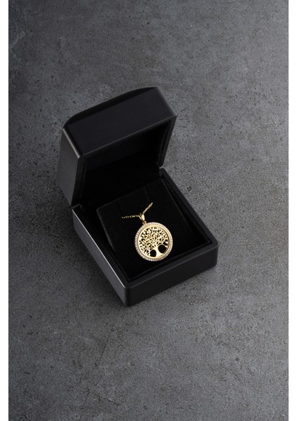 925 Ayar Gümüş Işıklı Kutuda Hayat Ağacı Kolye