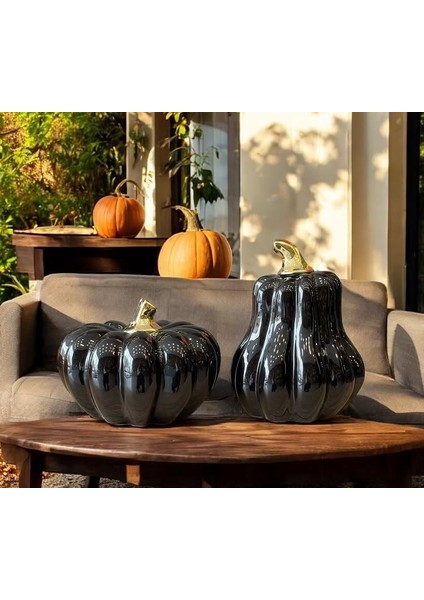 Dekoratif Bal Kabağı