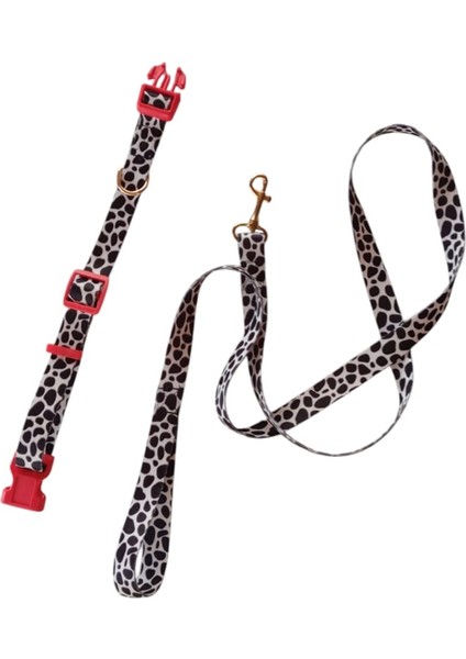 Köpek Tasması ve Gezdirme Kayışı 150 cm