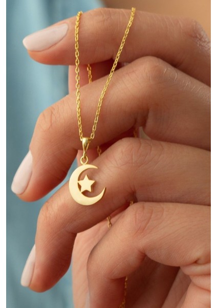 925 Ayar Gümüş Ay Yıldız Kolye fiyatları