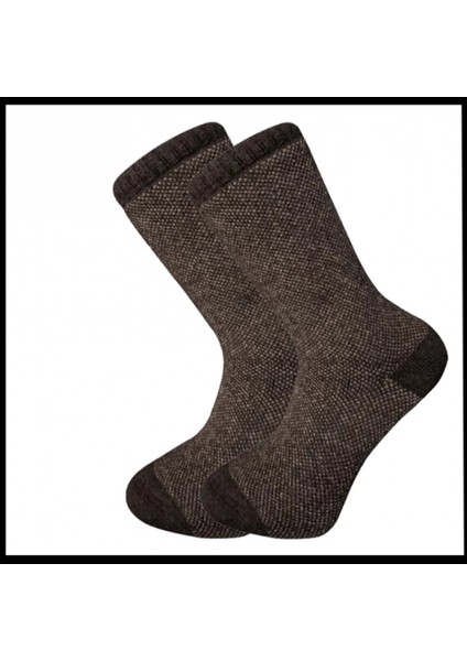 Uyguna-Yakala Erkek Çorabı Kahve Kuzu Yünü HAVLU-RAP.385