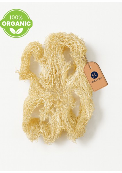 %100 Doğal Kabak Lifi Bulaşık Süngeri 2’li Set | Organik ve Çevre Dostu Temizlik Süngeri fiyatları