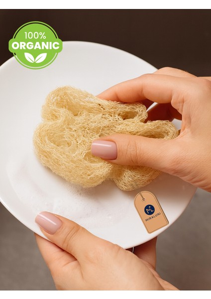 %100 Doğal Kabak Lifi Bulaşık Süngeri 2’li Set | Organik ve Çevre Dostu Temizlik Süngeri modelleri