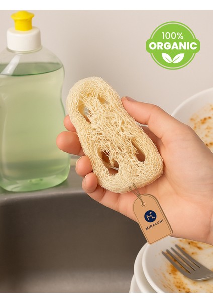 %100 Doğal Kabak Lifi Bulaşık Süngeri 2’li Set | Organik ve Çevre Dostu Temizlik Süngeri