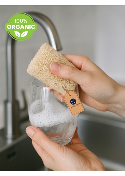 %100 Doğal Kabak Lifi Bulaşık Süngeri 2’li Set | Organik ve Çevre Dostu Temizlik Süngeri