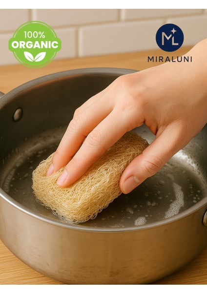 %100 Doğal Kabak Lifi Bulaşık Süngeri 2’li Set | Organik ve Çevre Dostu Temizlik Süngeri