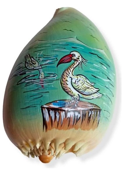 Yağlı Boya Resimli Deniz Kabuğu Yb7 fiyatları