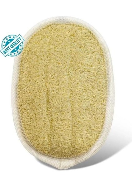 Eldione Oval Kabak Lifi – Çift Taraflı Doğal Banyo Kesesi ve Antibakteriyelli Sağlıklı Bulaşık Lifi Süngeri, 15X11 Cm, Rovin Kumaşlı, Exfoliating Lif Cilt Yenileyici Canlandırıcı Etki, Selülit Karşıtı fiyatları