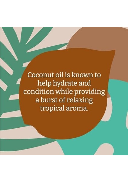 Faıth In Nature Coconut / %99 Doğal Içerikli Şampuan-Nemlendirici Hindistan Cevizi Normal&kuruya Dönük Saçlar Için