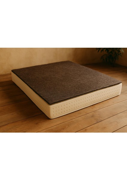 At Kılı Lateks Yatak Pedi