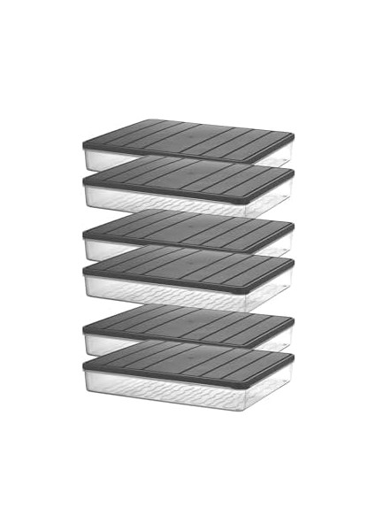 - Nora 6'lı 2.5 Litre Büyük Boy Mürdüm Saklama Kabı modelleri