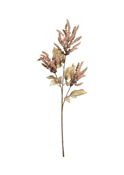 Çiçekli Bitki Pampas 90 Cm. fiyatları