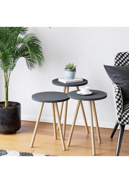 Zigon Sehpa Ahşap Ayaklı Yuvarlak Tasarım ( Gri)
