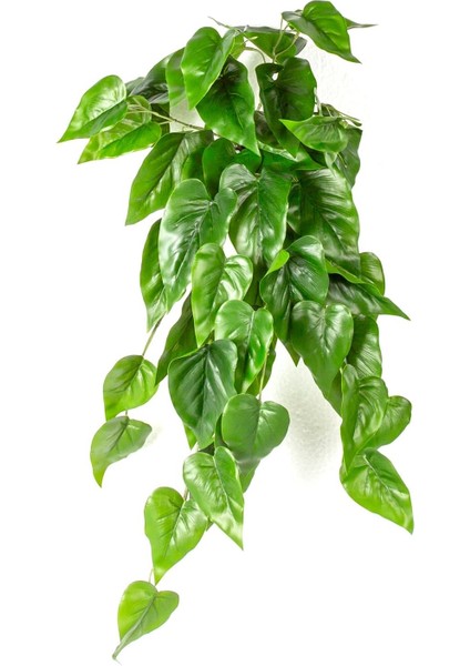 Yapay Bitki Asılabilir Sarmaşık Anthurium-Antoryum Gerçek Dokulu Yeşil 70 Cm.