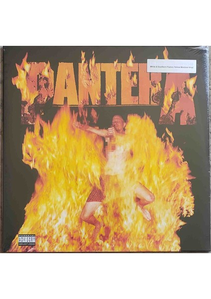 Pantera - Reinventing The Steel Plak ( Renkli / Limitli)