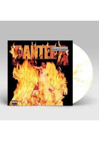 Pantera - Reinventing The Steel Plak ( Renkli / Limitli) modelleri