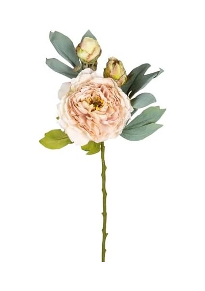 Çiçek Şakayık Somon 62 Cm. fiyatları