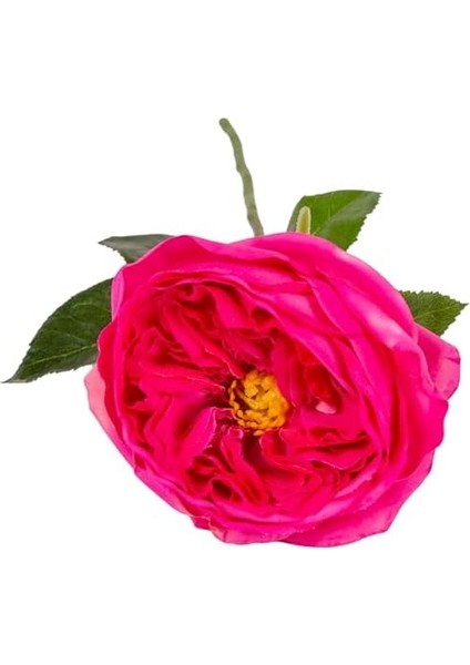 Yapay Çiçek Islak Dokulu Gül Fuşya 48 Cm. fiyatları