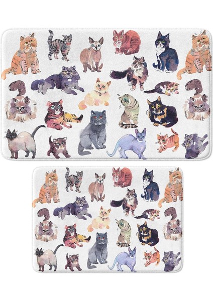 Sevimli Tasarımlı Mikrofiber Paspası, Kaymaz Taban, Yıkanabilir (380_BPSM, 2'li Takım 40X60_50X80)