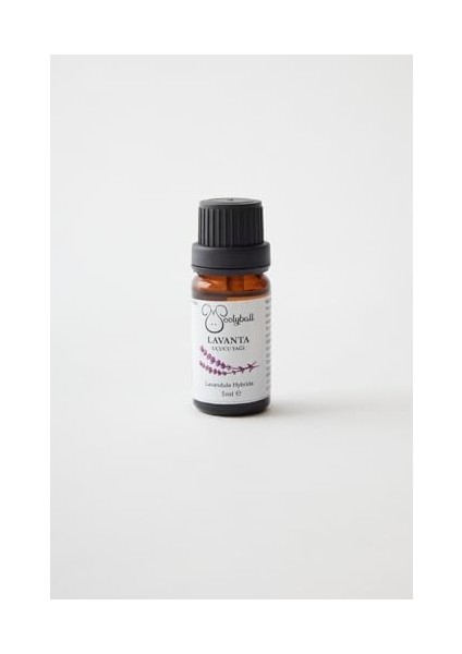 Woolyball Organik Esansiyel Yağlar Seti, 4 Şişe, Lavanta, Biberiye, Lavanta/portakal/sedir, Biberiye/portakal/sedir, Yün Çamaşır Topu Hediye