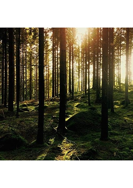 Tepe Good Regular Soft – Kullanıcı Dostu Diş Fırçası Yenilenebilir Ham Maddelerden Yumuşak Kıllı