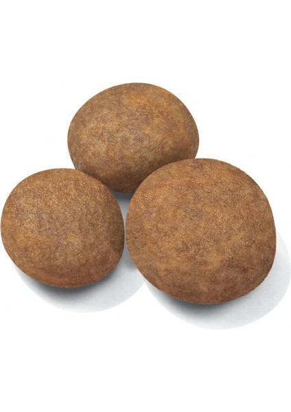 Büyük Irklar Için Yavru Kuru Köpek Maması 15kg