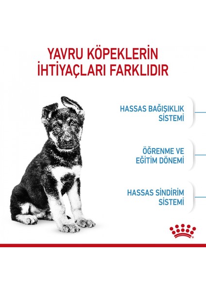 Büyük Irklar Için Yavru Kuru Köpek Maması 15kg