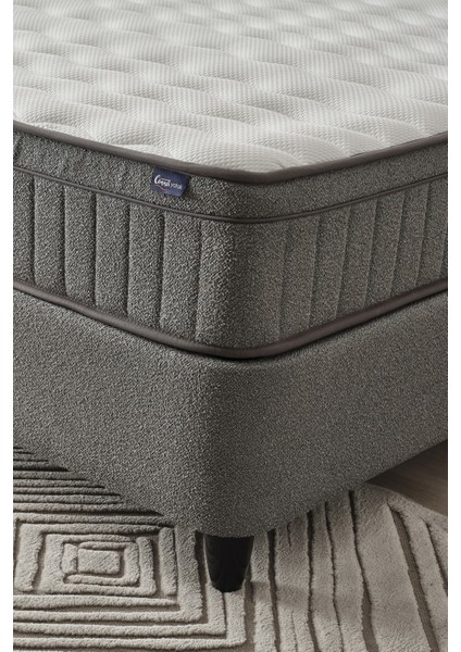 Fokus Model Tek Kişilik Ortopedik Yatak Hafif, Rahat ve Sağlıklı Uyku Alanı modelleri