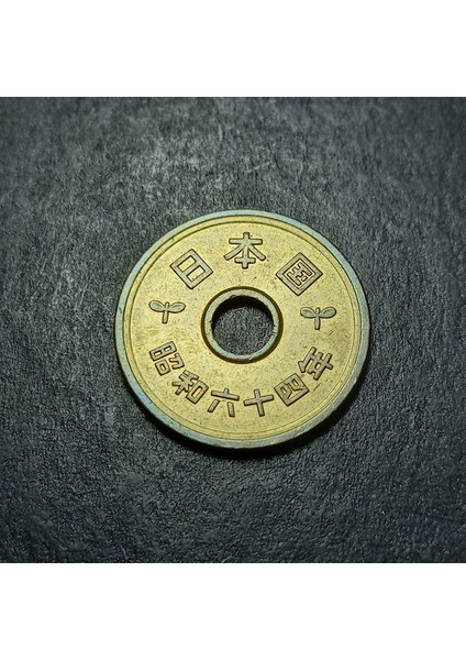 3996368F3F10AA7B1B 1989 Japonya 5yen Çil Eski Yabancı Madeni Para modelleri
