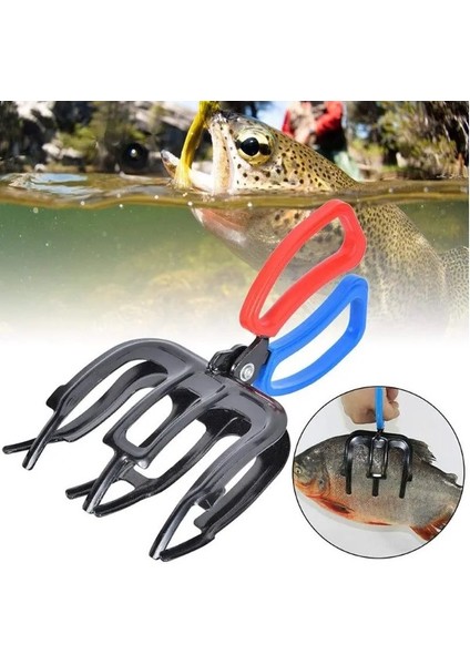 3 Pençeli 11 cm Balık Sabitleyici Maşa (4172) fırsatları