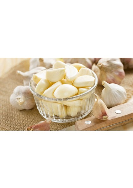 Hakiki Çubuk Turşusu 1 lt Sarımsak Net 500 gr fiyatları