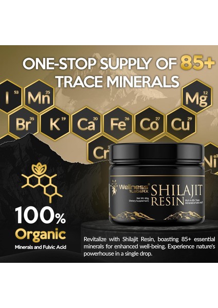 Wellness Labs Himalayan Shilajit For Men Resin With Fulvic Acid And Trace Minerals Immune Support 120 Servis fiyatları
