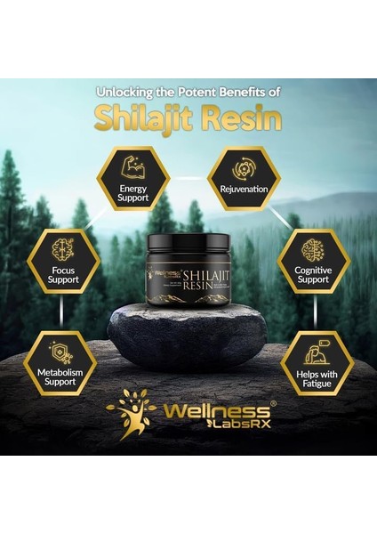 Wellness Labs Himalayan Shilajit For Men Resin With Fulvic Acid And Trace Minerals Immune Support 120 Servis modelleri