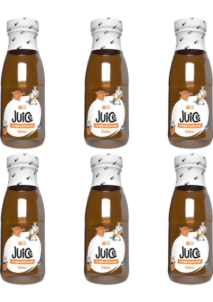 Og 6'lı Organik Kayısı Suyu 250 ml