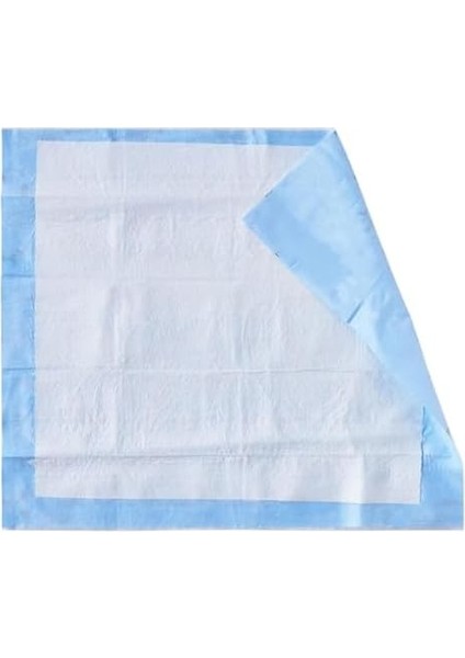 Myflon Premium Ultra Kalın 200GRAM M2 4 Lt M2 Sıvı Emici 60X90 Alt Değiştirme, Hasta Bakım Yatak Koruyucu Örtüsü, Bebek Alt Açma Örtüsü, Evcil Hayvan Çiş Pedi 10 Adet