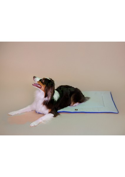 Travel Bed Marine Blue modelleri